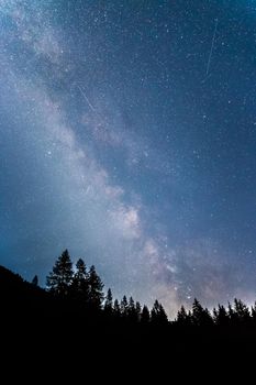 Milky way clear at night, silhouettes of trees