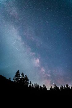 Milky way clear at night, silhouettes of trees