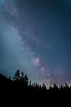 Milky way clear at night, silhouettes of trees