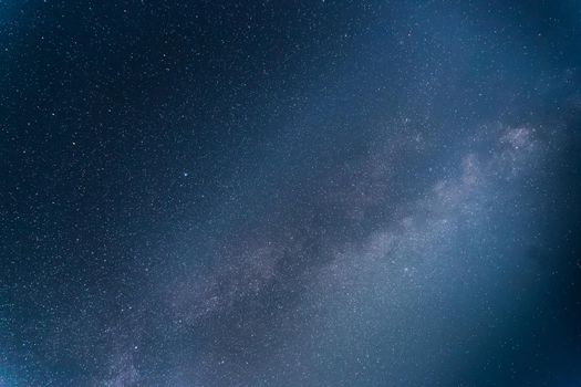 Milky way clear at night, silhouettes of trees