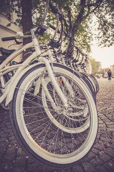 Parking bikes for rental in the city, tourism