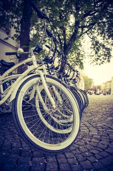 Parking bikes for rental in the city, tourism