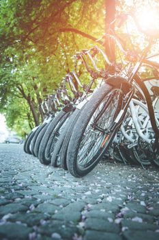 Parking bikes for rental in the city, tourism