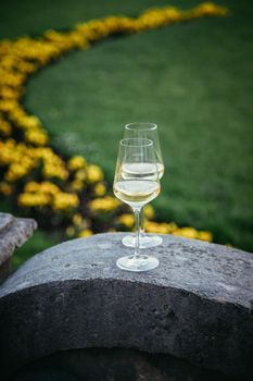 Glass of white wine on a stone wall in the formal garden. Enjoying it in the own garden in the evening sun.