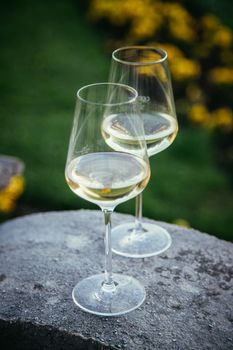 Glass of white wine on a stone wall in the formal garden. Enjoying it in the own garden in the evening sun.