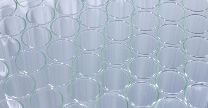 Close up of clean test glasses in chemistry or science laboratory