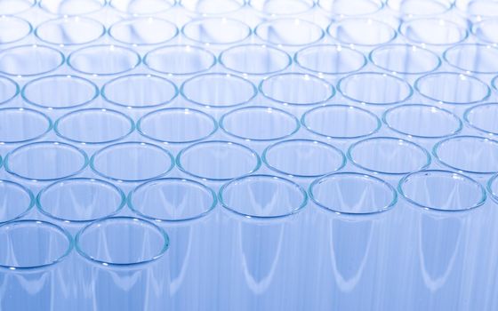 Close up of clean test glasses in chemistry or science laboratory