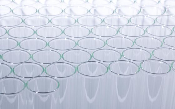 Close up of clean test glasses in chemistry or science laboratory