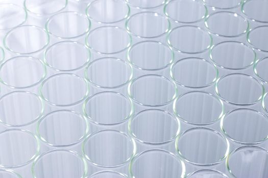 Close up of clean test glasses in chemistry or science laboratory