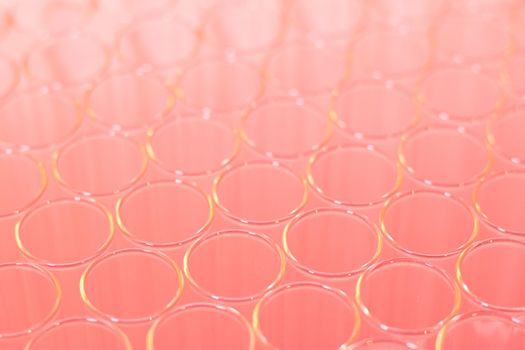 Close up of clean test glasses in chemistry or science laboratory