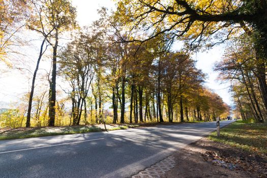 Beautiful park in autumn, bright sunny day with colorful leaves on the floor