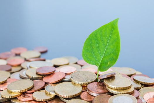 Sustainable investment money concept: Coins tacked on each other, green leaf
