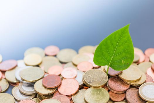 Sustainable investment money concept: Coins tacked on each other, green leaf
