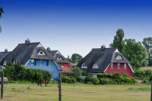 Houses on the Fischland-Darß with a thatched roof