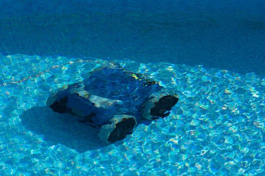 Automatic robot cleans the swimming pool underwater