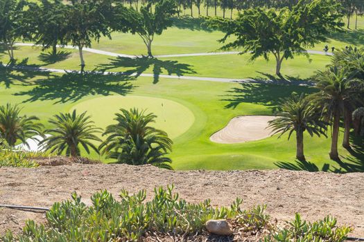 Gran Canaria Meloneras Golf play green grass and palm trees in the Canary Islands.