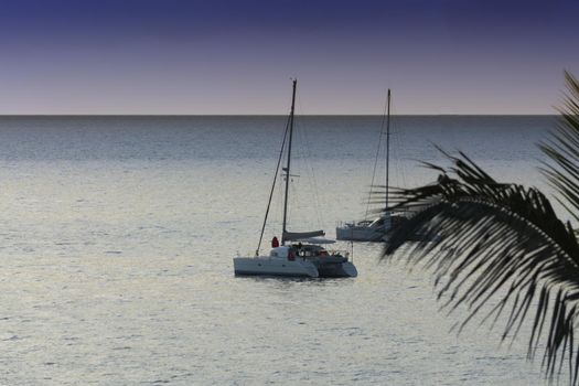 Yacht - catamaran in the tropical sea at sunset. Yachting / luxury sailing theme