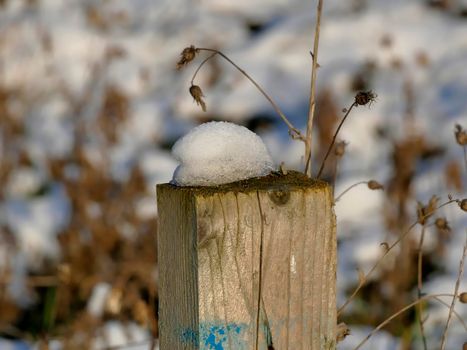 snow on fence post in winter