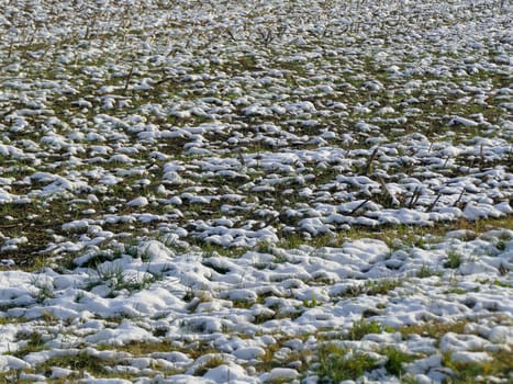 snow residue on a acre in winter in Germany