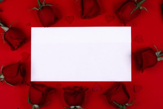 Red rose flowers and hearts composition around white greeting card isolated top view with copy space. Valentine's day, birthday, wedding, Mother's day concept.