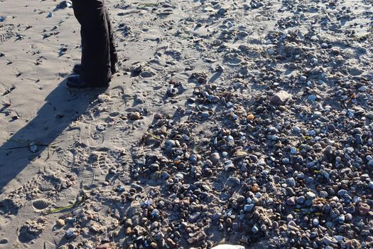 Human feet in black shoes at a baltic sea beach in northern Germany