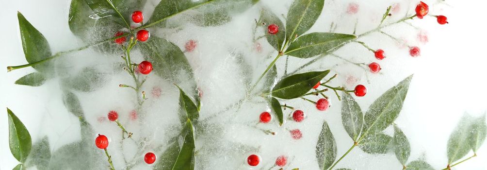 Frozen flowers arrangement in ice. Japanese bamboo in ice, horizontal flat lay