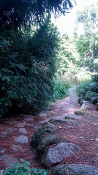 Rocky path between trees in Royal Botanical Garden Madrid