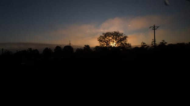 Morning sunrise behind tree. Backlit tree in the morning