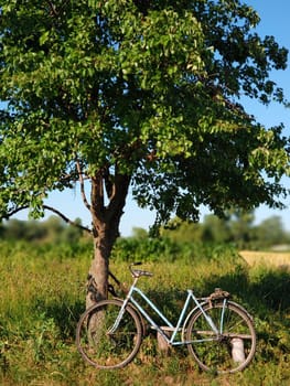 Summer village landscape. A blue bike is parked near a tree in a field.