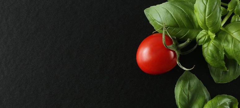One tomato with basil on black background. Close up tomato