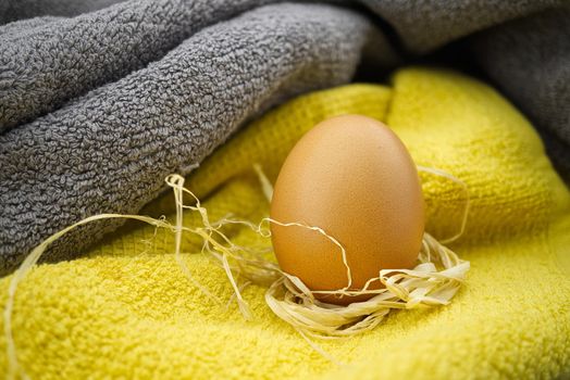 Fresh brown egg on two tone grey and yellow textile. Organic farming and color trends concept