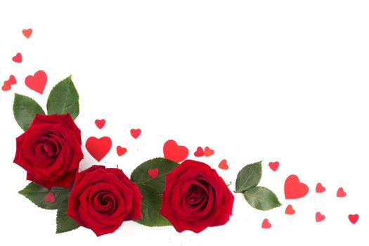 Three red roses and many small paper hearts isolated on white background, love romantic gift for Valentine day