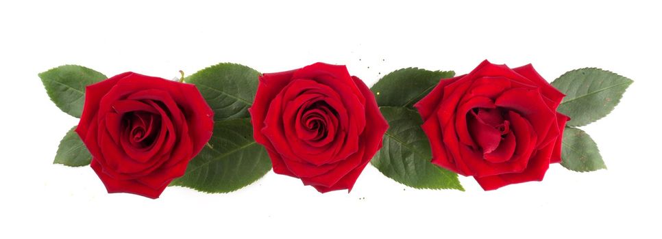 Red rose flowers and leaves arrangement isolated on white background, top view, design element for Valentines day