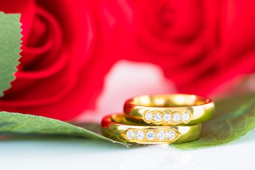 Close up Gold ring and Red roses on white  background, Wedding concept with roses and gold rings