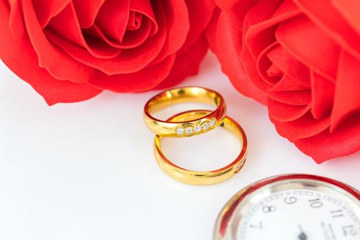 Close up Gold ring and Red roses on white  background, Wedding concept with roses and gold rings