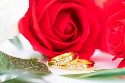 Close up Gold ring and Red roses on white  background, Wedding concept with roses and gold rings