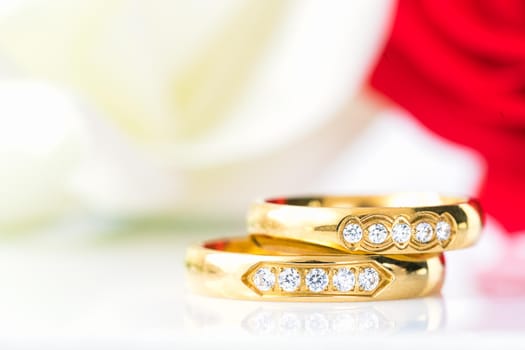 Close up Red roses on white background, Wedding concept with roses and gold rings