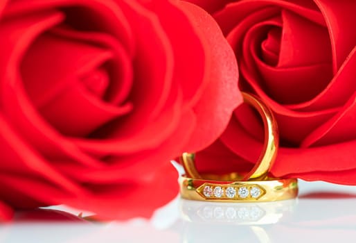 Close up Red roses on white background, Wedding concept with roses and gold rings