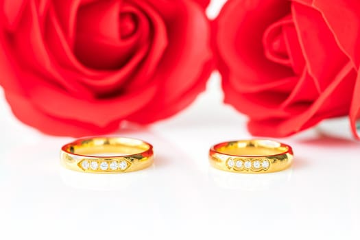 Close up Red roses on white background, Wedding concept with roses and gold rings
