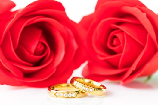 Close up Red roses on white background, Wedding concept with roses and gold rings