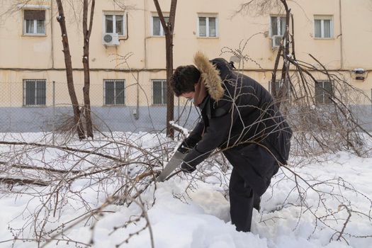 Madrid, Spain - January 10, 2021: A young man cuts the fallen branches of a tree broken by snow, to clear the access to a street, on a snowy day, due to the Filomena polar cold front.