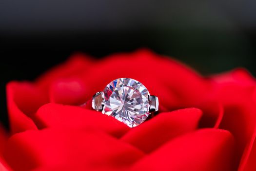 Closeup Diamond gem wedding rings  on red roses leaves
