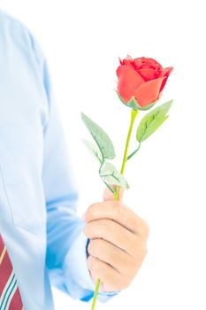 Close up photo of Man holding red roses in hand on white background