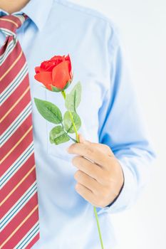 Close up photo of Man holding red roses in hand on white background