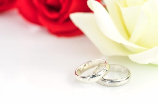 Close up red rose and wedding ring on white background, Wedding concept with roses and ring