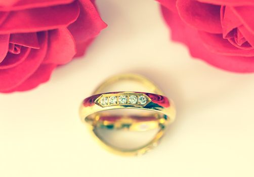 Red plastic fake roses on white background, Wedding concept with roses and gold rings