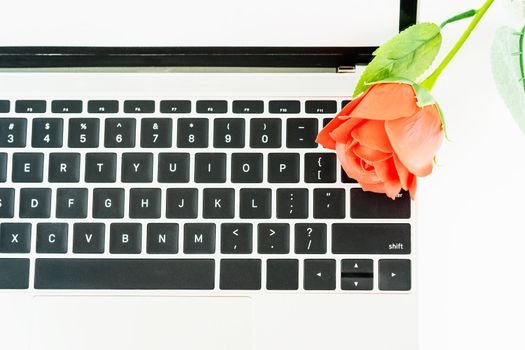 Red rose on the laptop keyboard on white background, Valentine  concept