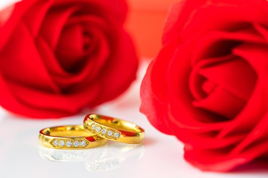 Red plastic fake roses on white background, Wedding concept with roses and gold rings