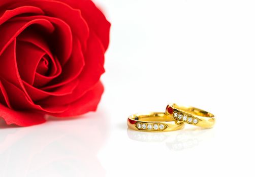 Red plastic fake roses on white background, Wedding concept with roses and gold rings