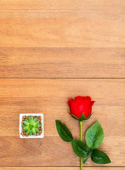 Red roses on wooden table. Top view with copyspace for your greetings